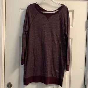 Banana Republic Sweatshirt Dress